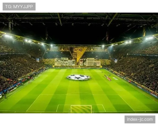 报告：德国足球俱乐部在可持续发展与球场减碳方面的投入与成效